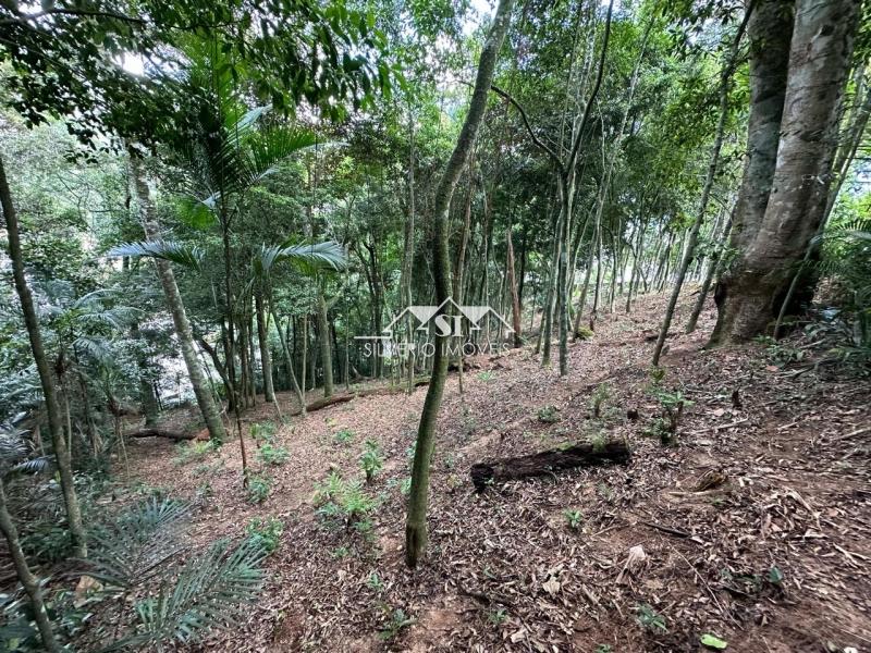 Terreno Residencial à venda em Mosela, Petrópolis - RJ