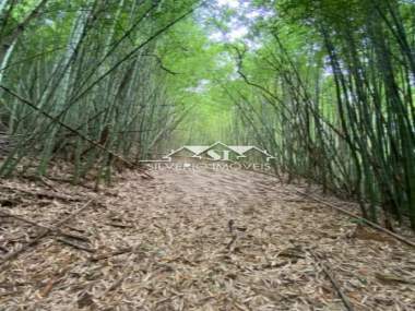 Terreno em Corrêas